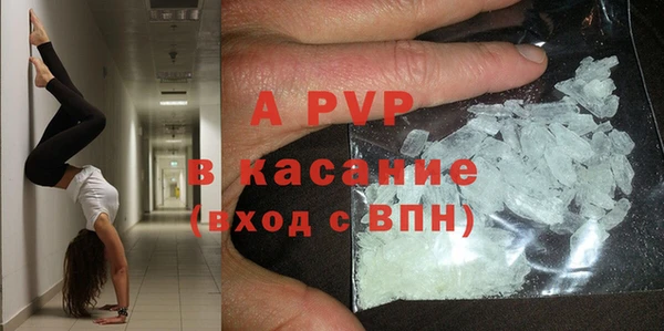 apvp Бородино